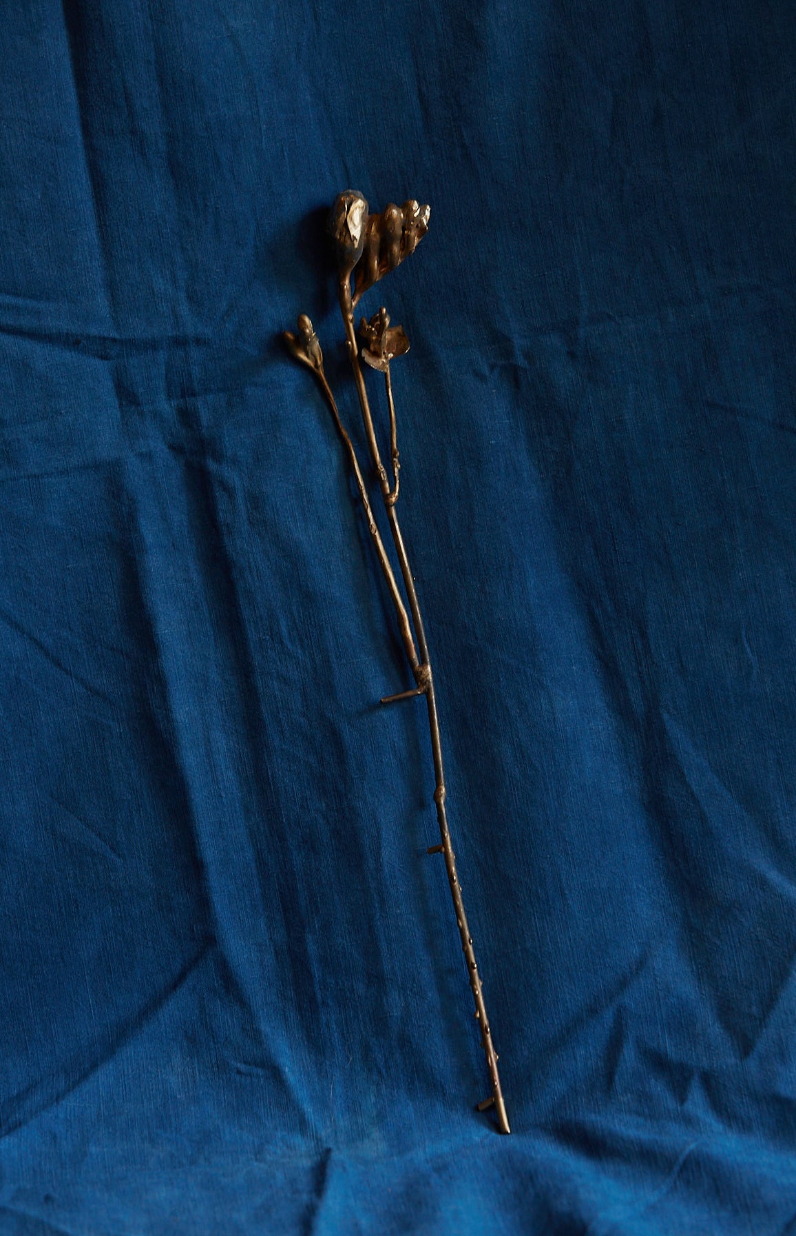 Fleur de Chloé Valorso