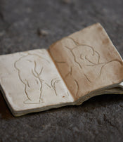 Carnet n°3 de Claire Lézier