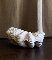 Boite tridacne de Claire Lézier