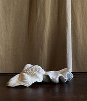 Boite tridacne de Claire Lézier