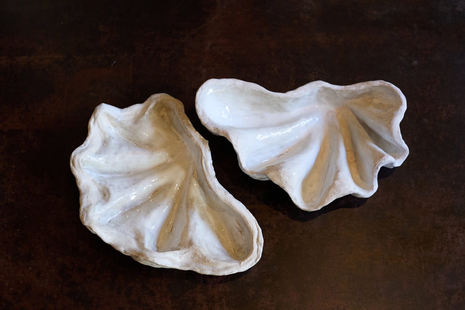 Boite tridacne de Claire Lézier