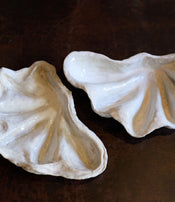 Boite tridacne de Claire Lézier