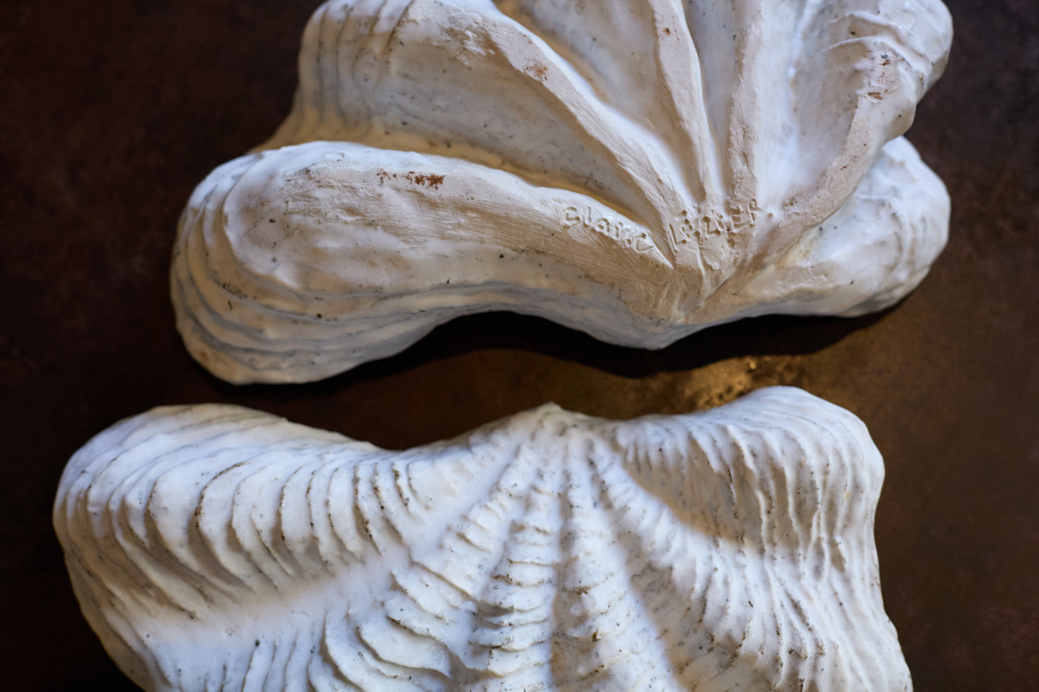 Boite tridacne de Claire Lézier