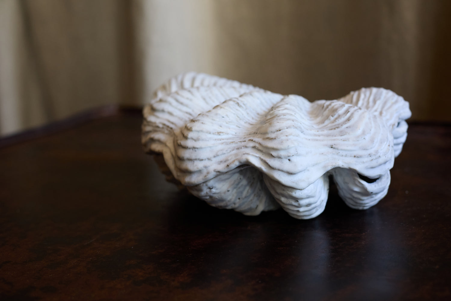 Boite tridacne de Claire Lézier