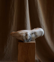 Sculpture "Lichen" de Pierre Mura