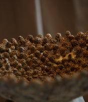 Grande coupe corail de Odu