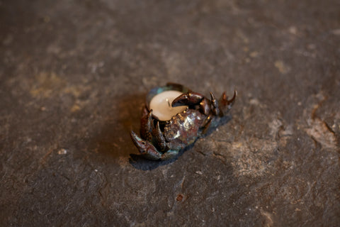 Petit bougeoir crabe de Chloé Valorso