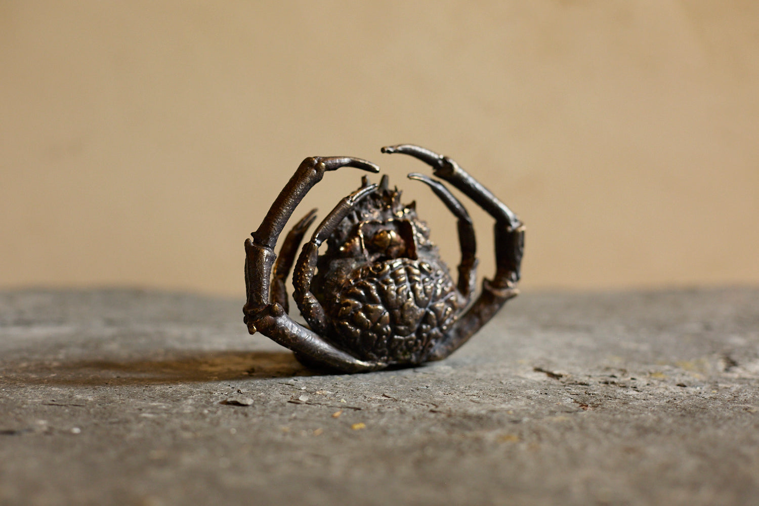 Spider crab candle holder by Chloé Valorso