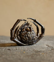 Spider crab candle holder by Chloé Valorso