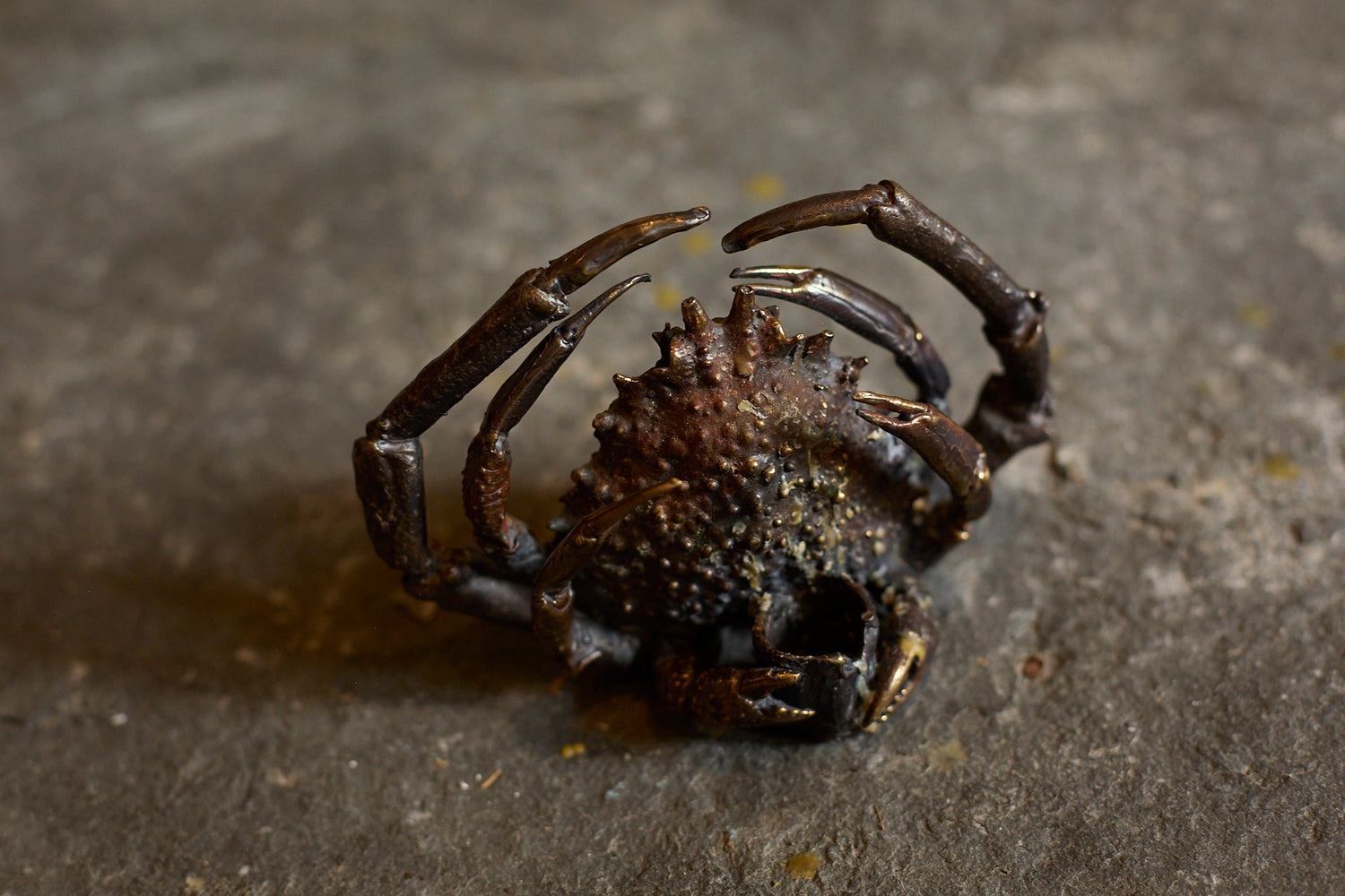 Spider crab candle holder by Chloé Valorso