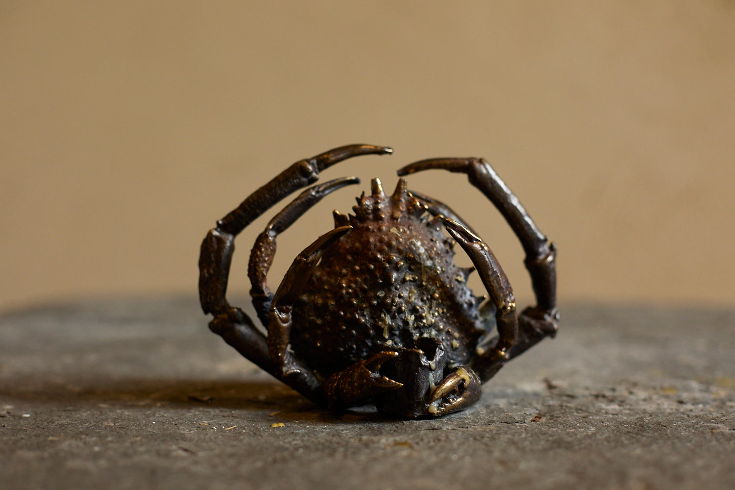Spider crab candle holder by Chloé Valorso