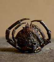 Spider crab candle holder by Chloé Valorso