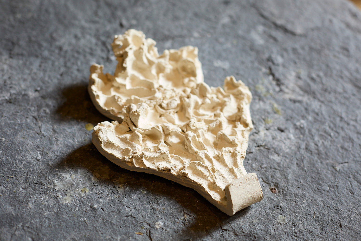 Fragments II coat hook by Katia Soussan