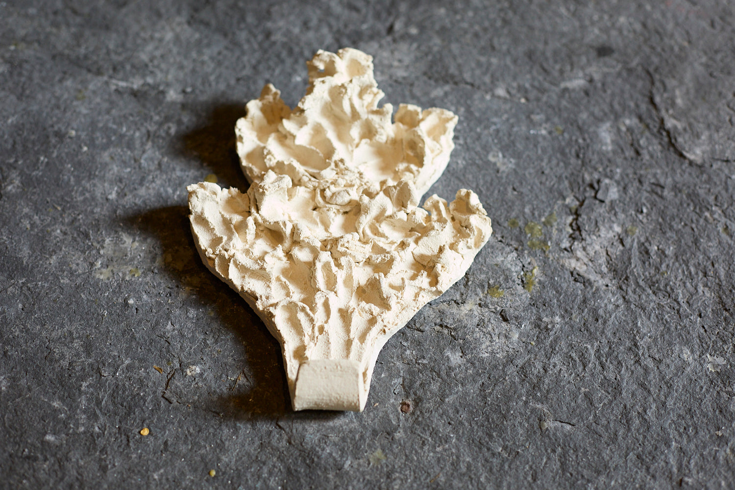 Fragments II coat hook by Katia Soussan