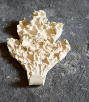 Fragments II coat hook by Katia Soussan