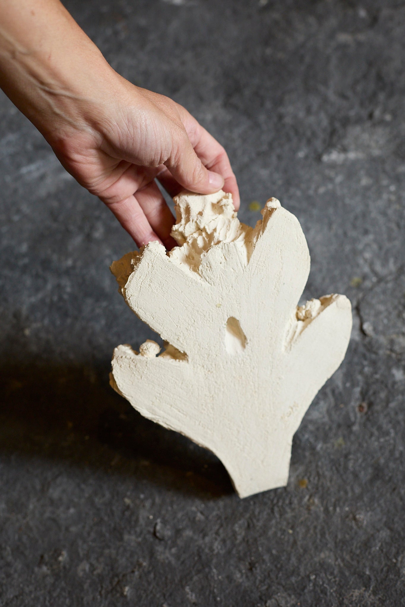 Fragments II coat hook by Katia Soussan
