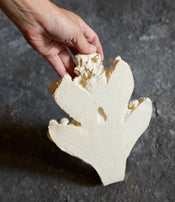 Fragments II coat hook by Katia Soussan