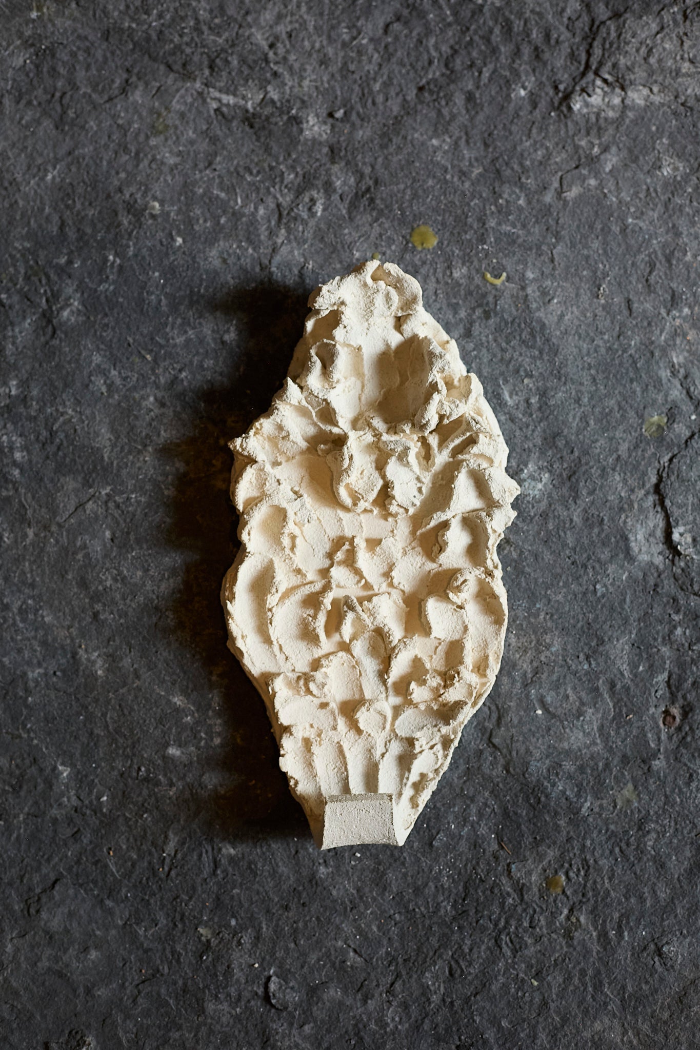 Fragments III coat hook by Katia Soussan