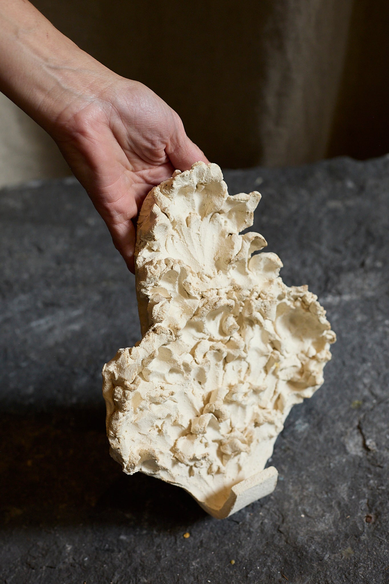 Fragments 1 coat hook by Katia Soussan