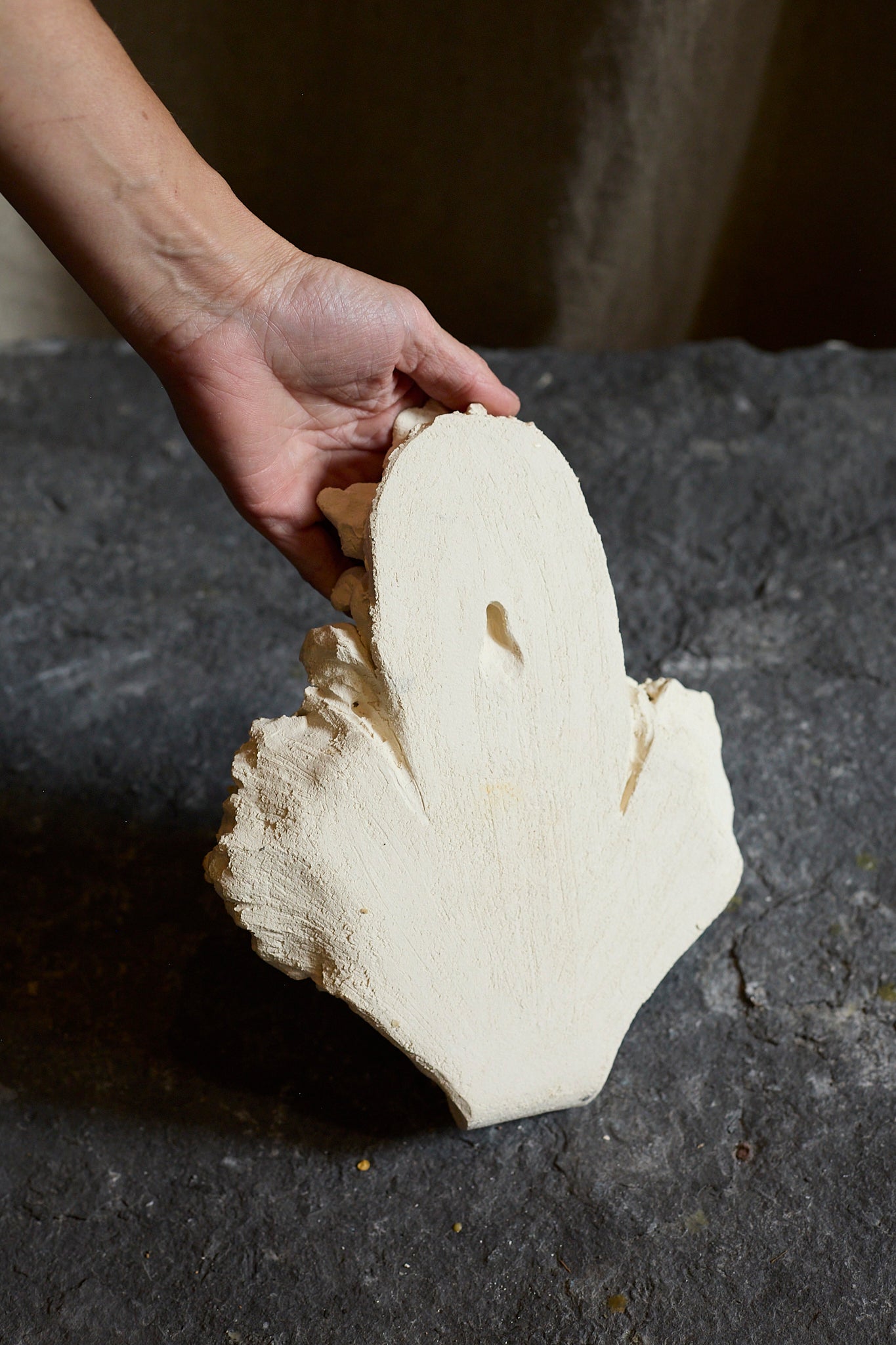 Fragments 1 coat hook by Katia Soussan