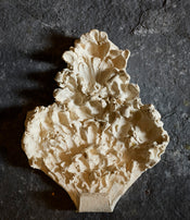 Fragments 1 coat hook by Katia Soussan