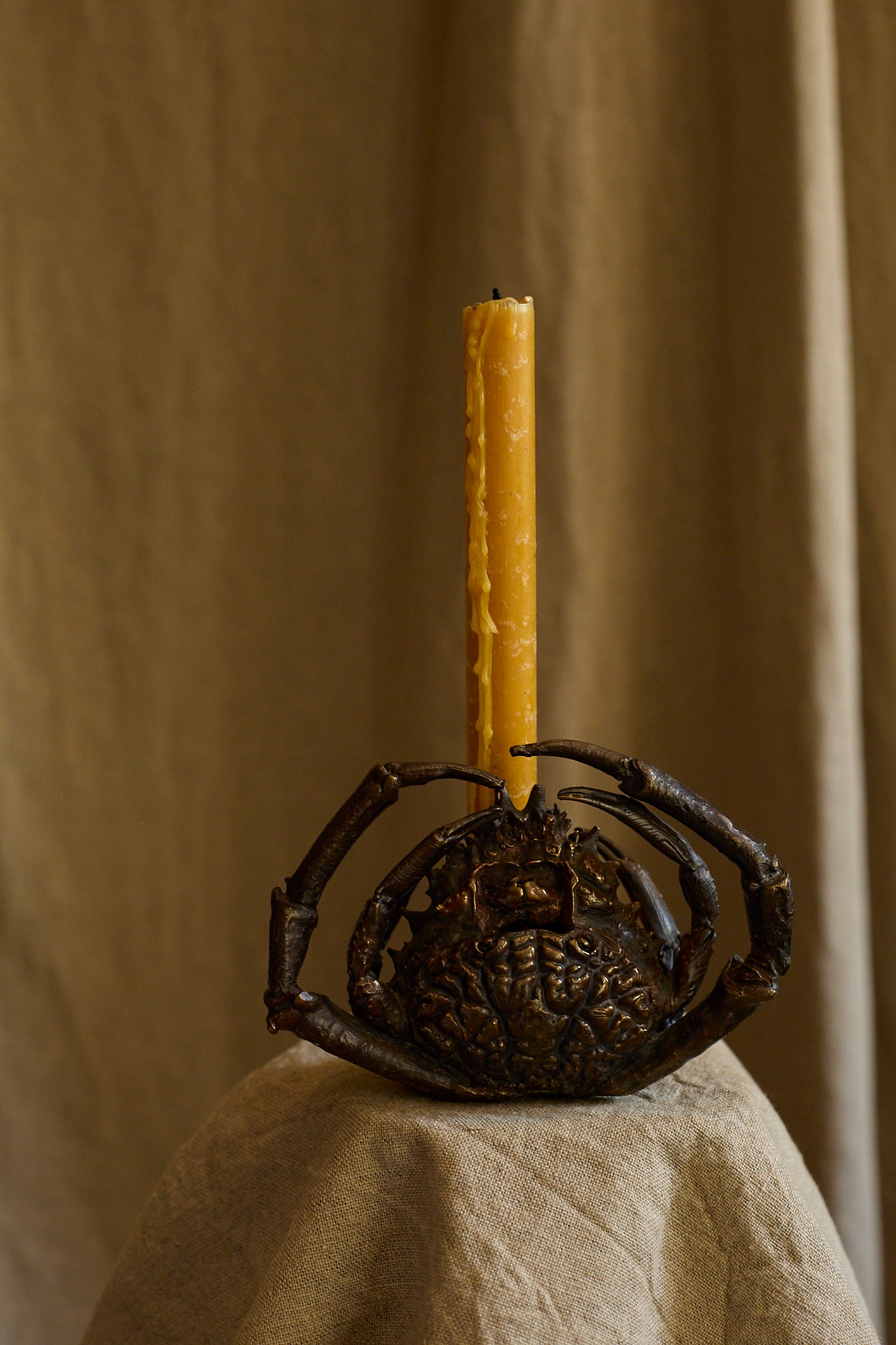 Spider crab candle holder by Chloé Valorso