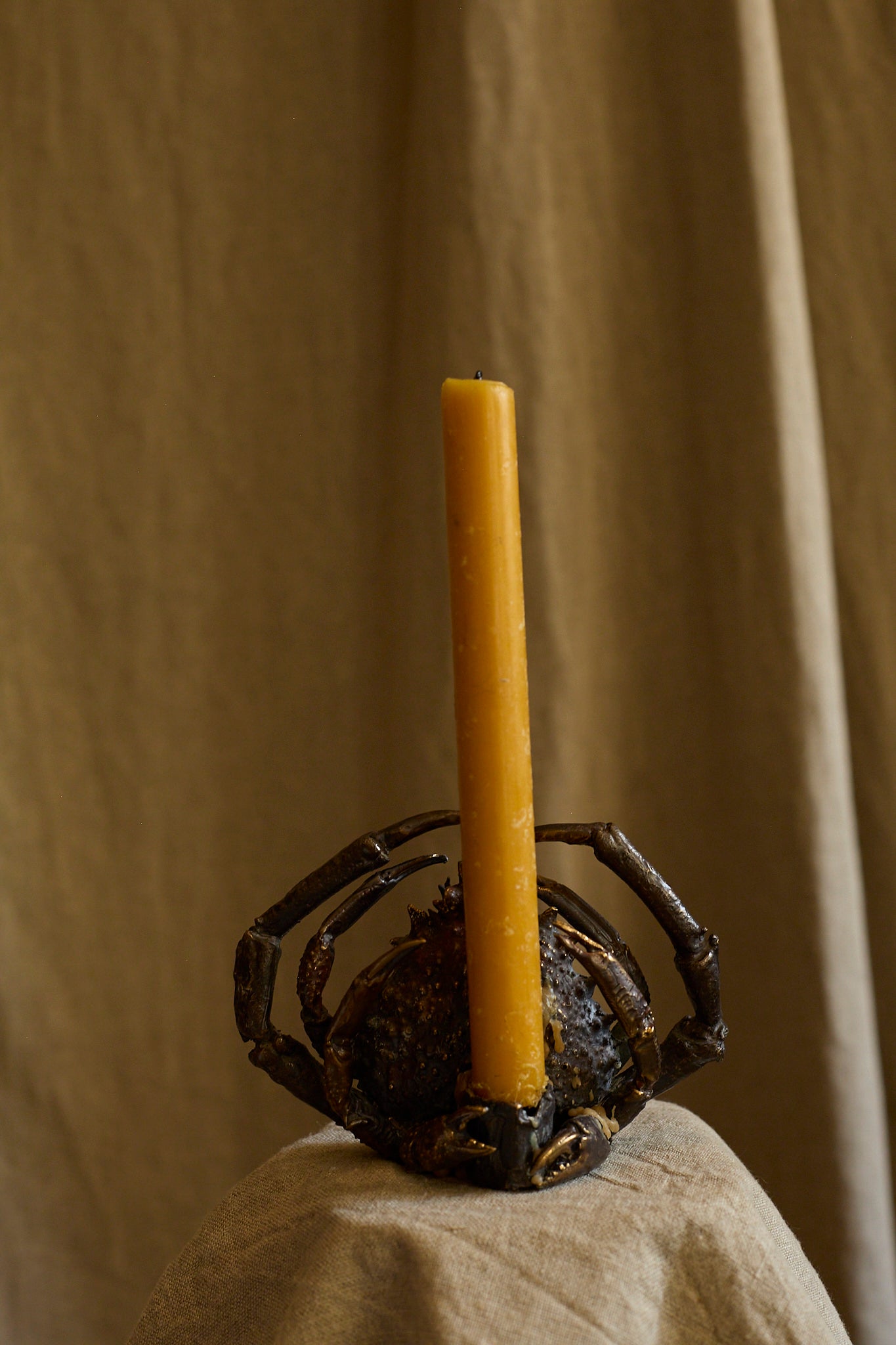 Spider crab candle holder by Chloé Valorso