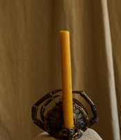Spider crab candle holder by Chloé Valorso
