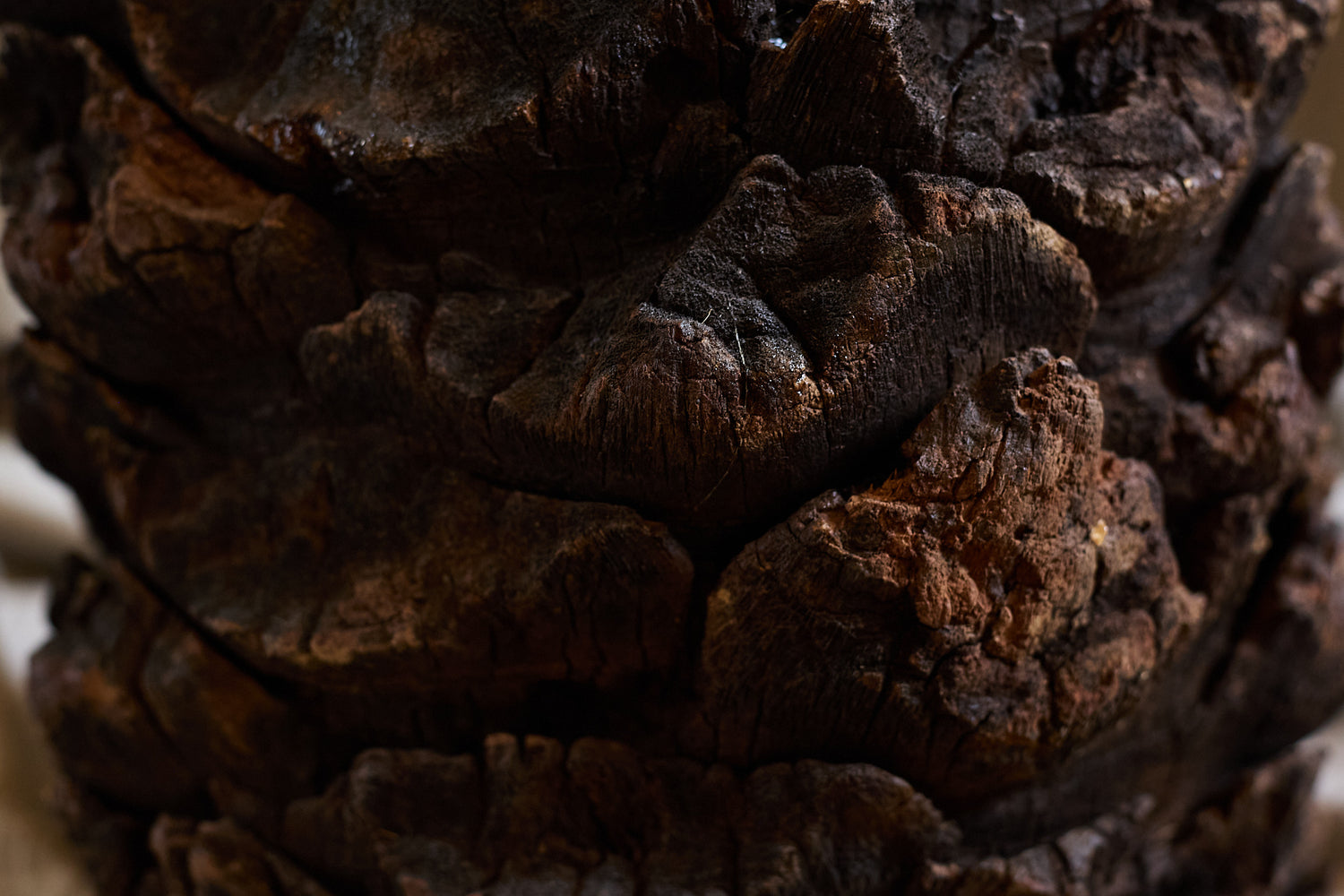 Palm trunk stool by L'Oeil de KO