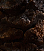 Palm trunk stool by L'Oeil de KO