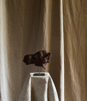 Little Rhinoceros by Ule Ewelt