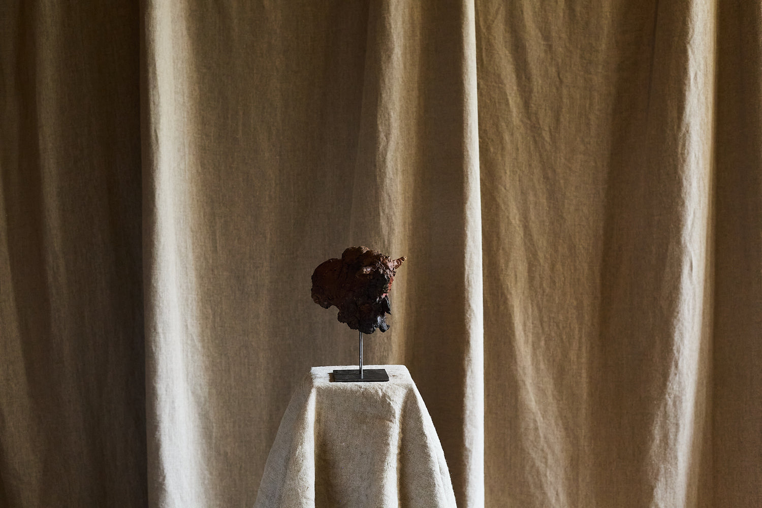 Little bison by Ule Ewelt