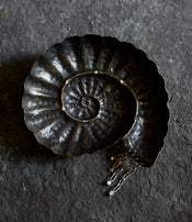 Zoé Mohm's ashtray