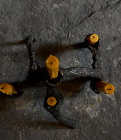 Bougeoir en bronze d'Ema Pradère