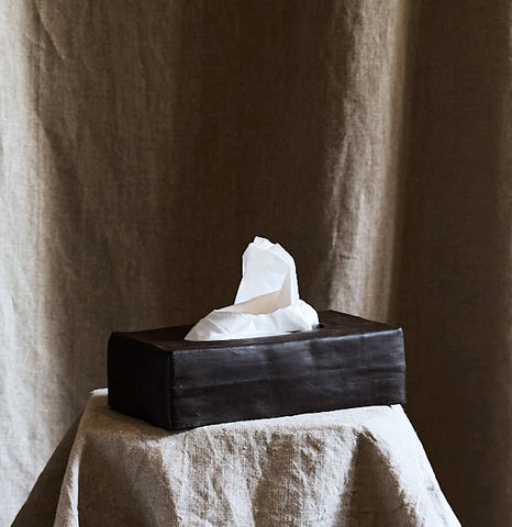 Lucie Damond's tissue box