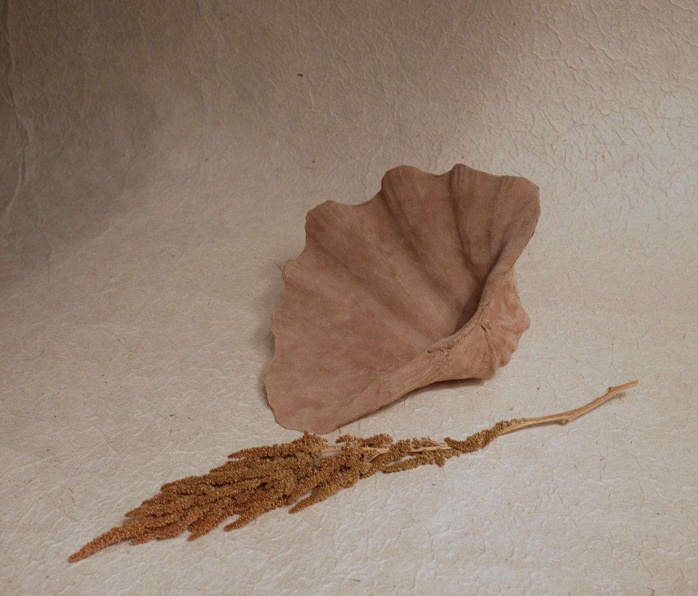 Grand coquillage gainé cuir de velours de Natalia Brilli