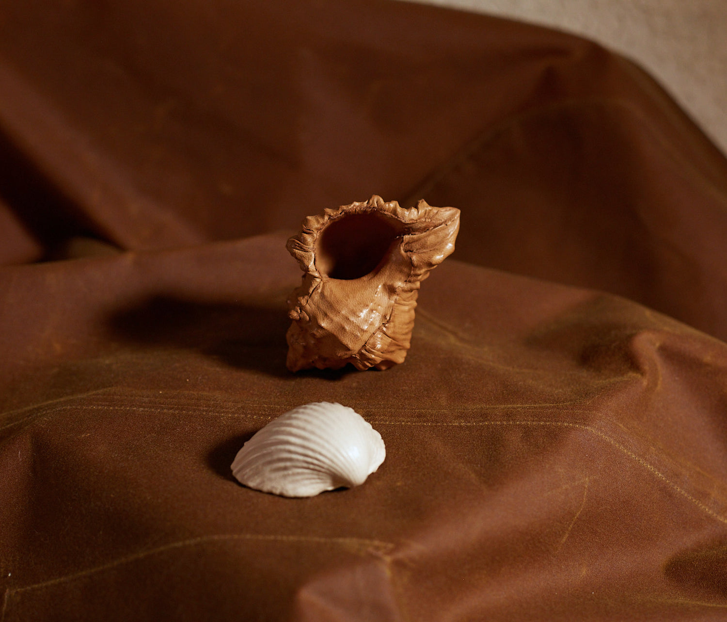 Coquillages en cuir de Natalia Brilli