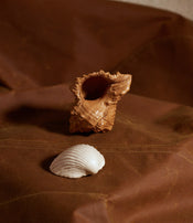 Coquillages en cuir de Natalia Brilli