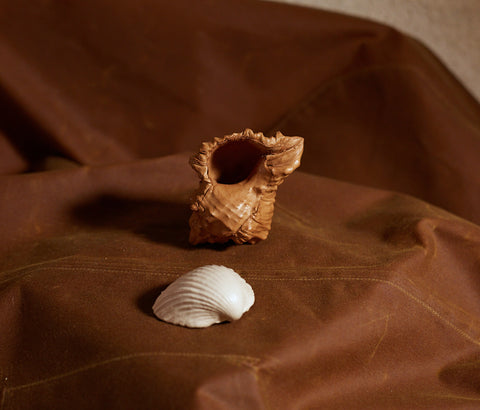 Coquillages en cuir de Natalia Brilli