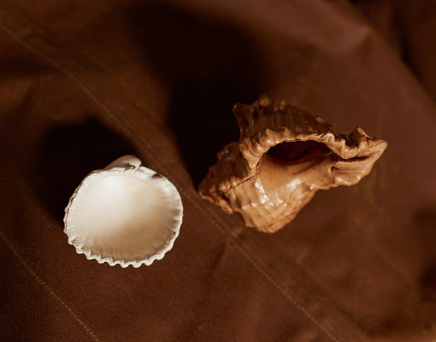 Coquillages en cuir de Natalia Brilli