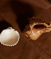 Coquillages en cuir de Natalia Brilli