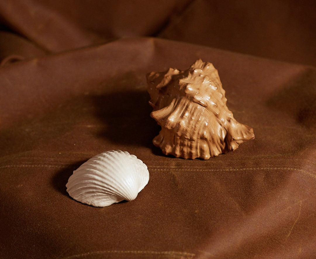 Coquillages en cuir de Natalia Brilli