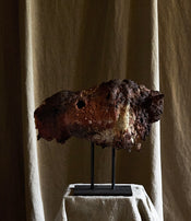 Great bison of Ule Ewelt
