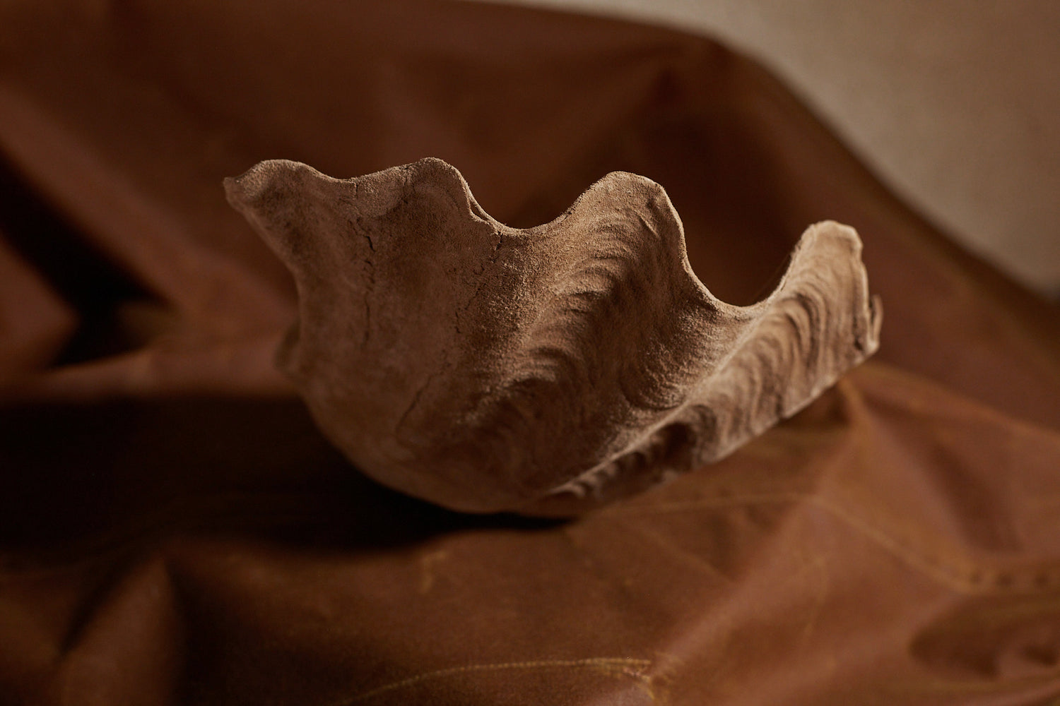 Grand coquillage gainé cuir de velours de Natalia Brilli