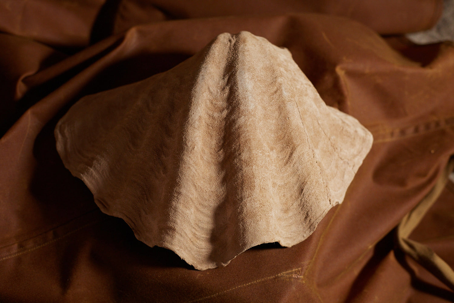 Grand coquillage gainé cuir de velours de Natalia Brilli