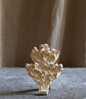 Fragments II coat hook by Katia Soussan