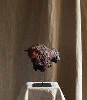 Little bison by Ule Ewelt