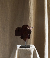 Little Rhinoceros by Ule Ewelt