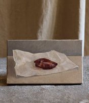 Nicolas Sage's piece of beef