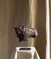 Little Rhinoceros by Ule Ewelt